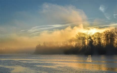 trees, Sunlight, Fog, Mist, Lake Wallpapers HD / Desktop and Mobile Backgrounds
