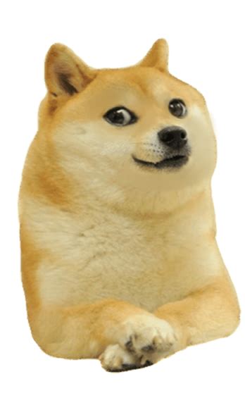 The doge tipping app news. Younger doge (Free PNG) : dogelore