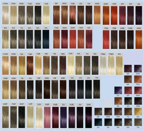 The Hair Color Chart For All Types Of Hair Colors And Styles With Different Shades