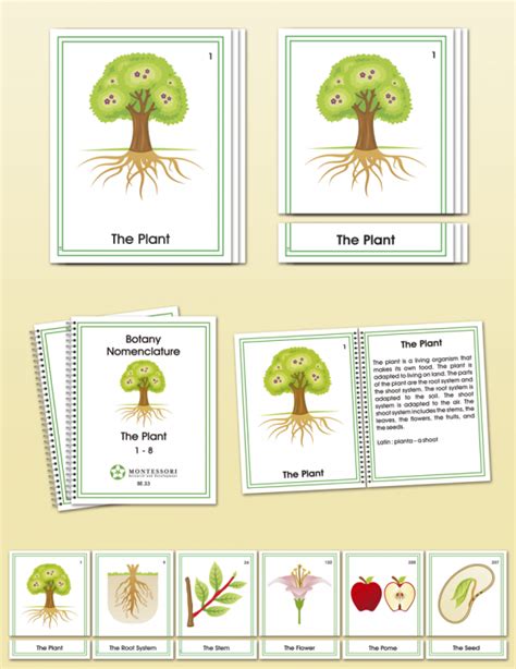 Botany Early Childhood Nomenclature Montessori Research And Development
