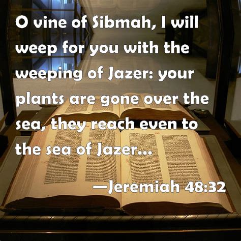 Jeremiah 4832 O Vine Of Sibmah I Will Weep For You With The Weeping