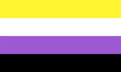 Buy Non Binary Flags Pride Flags For Sale At Flag And Bunting Store