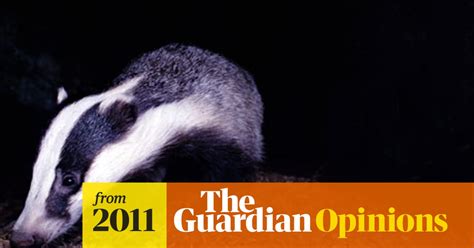 People Power Could Force Rethink On Badger Cull Plans Mary Creagh