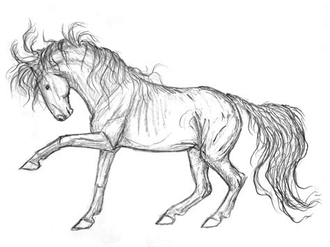 Easy to draw mustang horse.below are the individual steps you can click on each one for a high resolution printable pdf version. Mustang Sketch by Vizseryn on DeviantArt