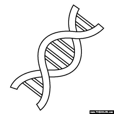 Dna Replication Diagram Coloring Sheet Coloring Pages 2650 The Best