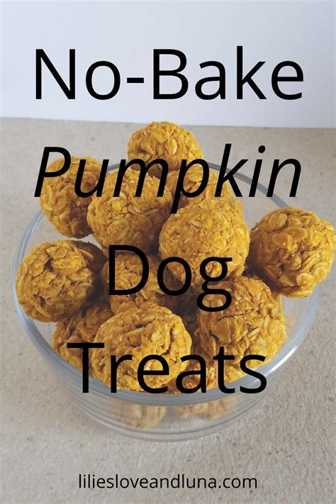 No Bake Dog Treats Easy Dog Treats Peanut Butter Dog Treats Puppy