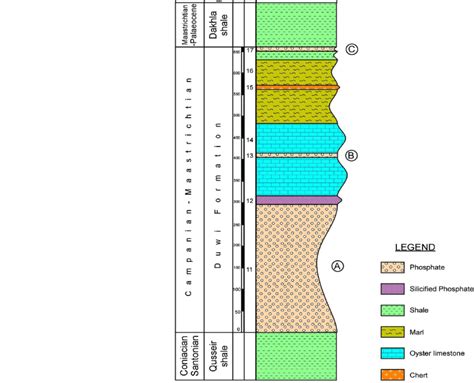 Lithostratigraphic Succession Of Duwi Formation Exposed In Nile Valley