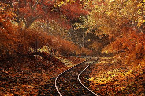 Autumn Train Track Wallpapers Wallpaper Cave