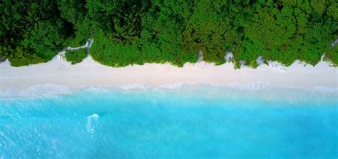 Birds Eye View Of Tropical White Sand Beach Blue Aqua Sea And Palm