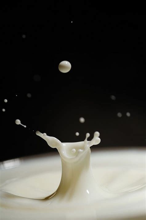 High Speed Photography Milk Splash Photo By David Fiala Milk Splash