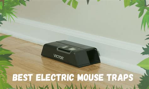 10 Best Electric Mouse Traps To Use In 2022 Insect Hobbyist