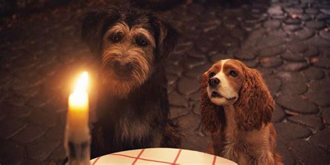 Lady And The Tramp Is Disneys Best Remake Of 2019 Cinemablend
