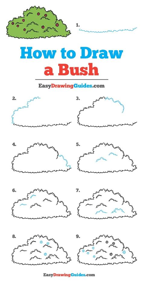 How To Draw A Bush Drawing Tutorials For Kids Easy