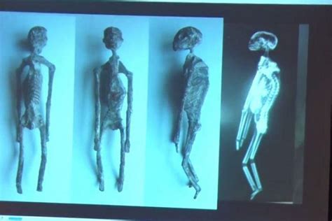 mystifying mummies found in peru believed to be alien reptilian freak lore