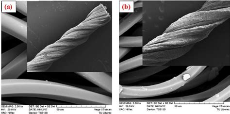 SEM Images Of A Untreated Nylon 6 Fiber B NaOH Treated Nylon 6