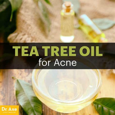 How To Make Tea Tree Oil At Home Howto Techno