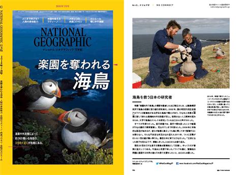 出口保全研究室長のインタビューがナショナルジオグラフィック日本版7月号に掲載されています 山階鳥類研究所広報ブログ