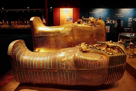 experience king tut s tomb at thenat in san diego