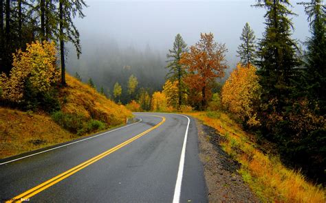 Download Road In An Autumn Forest Hd Wallpaper By Breed Forest