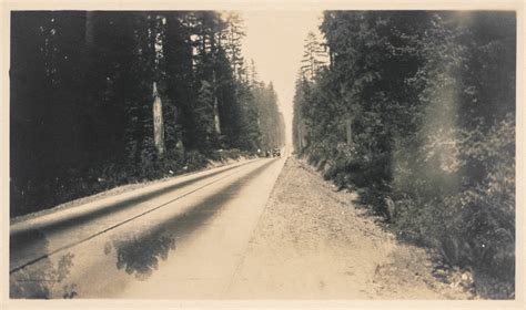 The Oldest Road In America The King S Highway Is In South Carolina