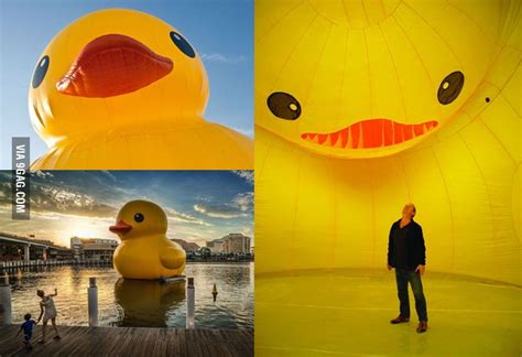 Inside The Most Famous Rubber Duck 9gag