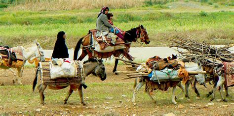 Iran Nomads Tour Living With The Qashqai Tribes Surfiran