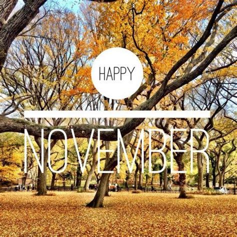 Happy November Pictures Photos And Images For Facebook Tumblr