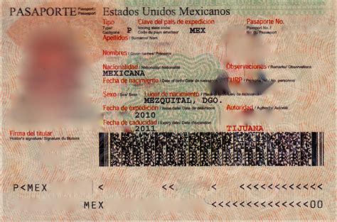 Filemexican Passport Photo