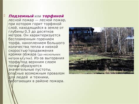 Презентация "Лесные пожары".