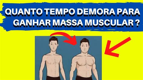 Quanto Tempo Demora Para Ganhar Massa Muscular Iniciante Ganho De Músculos Youtube