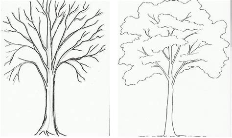 Картинки Рисунок Дерево Карандашом Telegraph