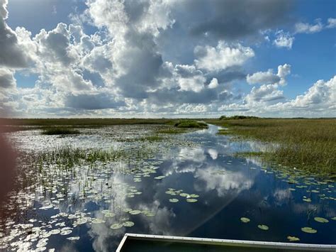 Everglades River Of Grass Adventures Miami Fl Anmeldelser