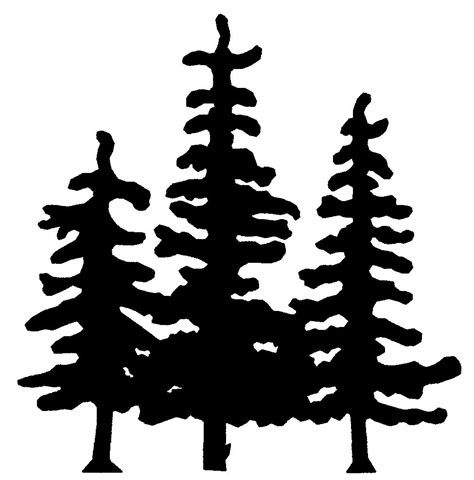 White Pine Tree Drawing At Explore Collection Of