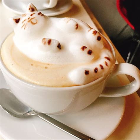 Latte Art Cute Cat ♡ Cafe Food Latte Art Food Obsession