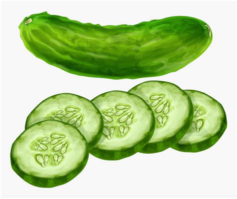 Vegetables Clipart Cucumber Cucumber Clipart Hd Png Download Kindpng