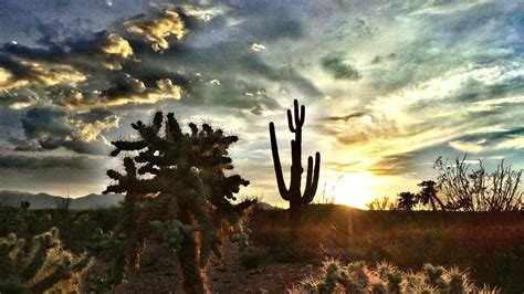 Arizona Desert Sunset | Desert sunset, Sunset, Arizona