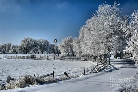 Frosty Morning Photograph By Steven Reed Fine Art America