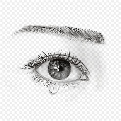 Realistic Eye White Transparent Realistic Sketching Eyes Realistic