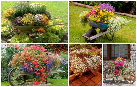 33 Wheelbarrow Planter Ideas For Your Garden Garden