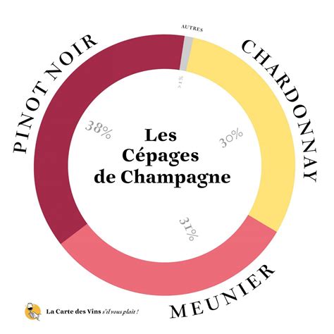 Le guide complet des vins de Champagne Cartes de la région