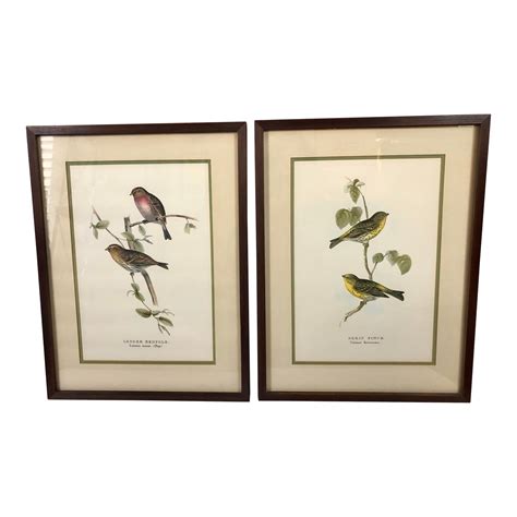 Vintage Framed Botanical Bird Prints Set Of 2 Chairish
