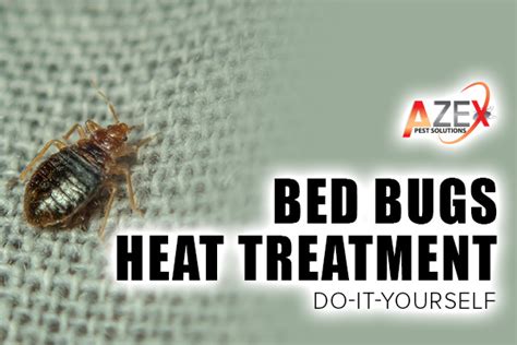 Bed Bug Heat Treatment Do It Yourself Darline Sizemore