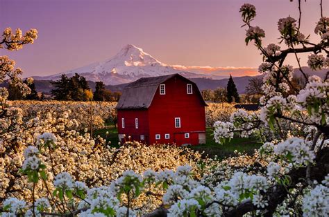 Spring Blossom And The Red Barn By Makarand Joshi On 500px Red Barn