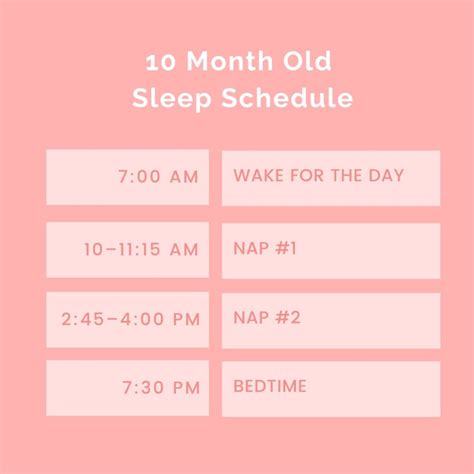 Sample 10 Month Old Sleep Schedule With Naps And Feedings