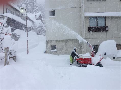 Massive 100cm Dump In Nozawa Overnight Nozawa Holidays