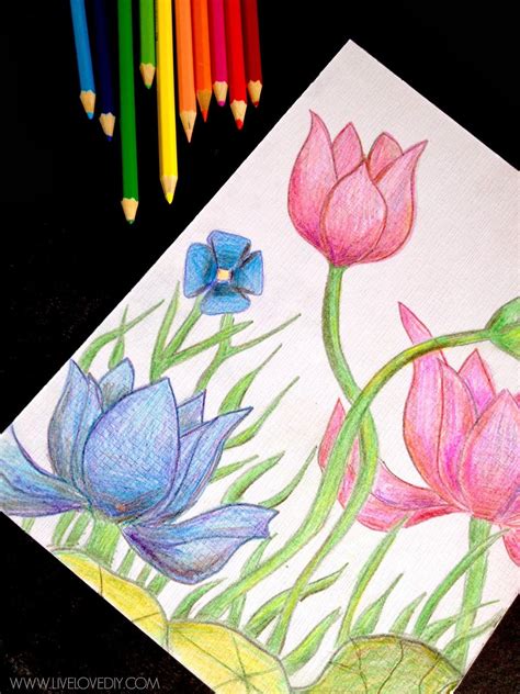 Colored Pencil Drawings Of Flowers