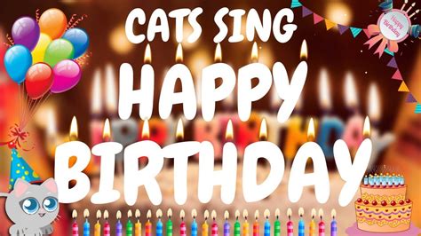 Cat Singing Happy Birthday Song Download Cat Meme Stock Pictures And
