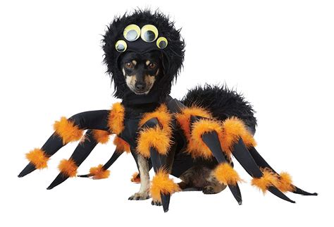 10 Best Dog Halloween Costumes Best Costumes For Dogs