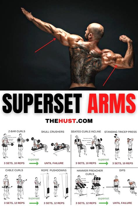 Ultimate Arms Workout Challenge For Size Arms Workout Plan Arm Workout Arm Day Workout