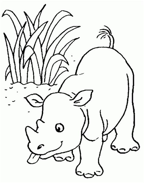 Desenhos De Rinoceronte Para Colorir Desenhos Para Pintar E Imprimir